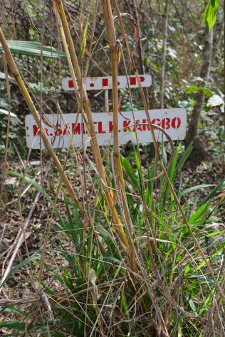 Grave in ETU burrial ground, Kailahun